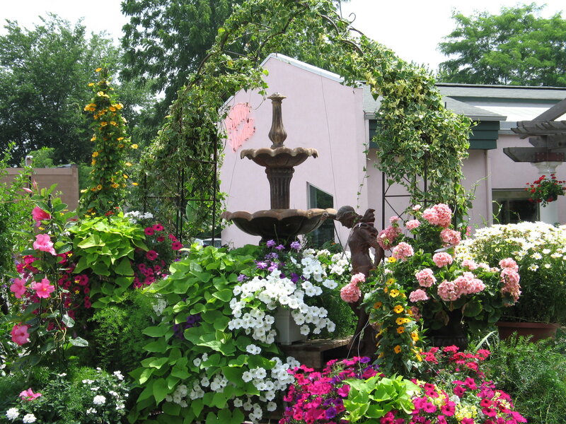 Garden with fountain and flowers