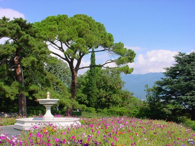 Garden with fountain and flowers