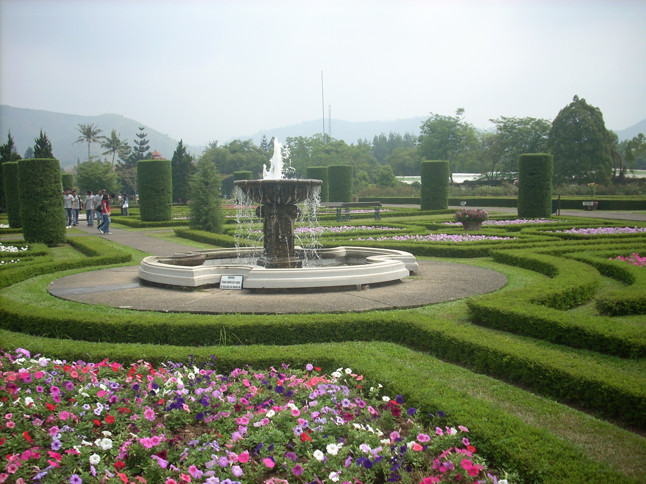 Garden with fountain and hedges