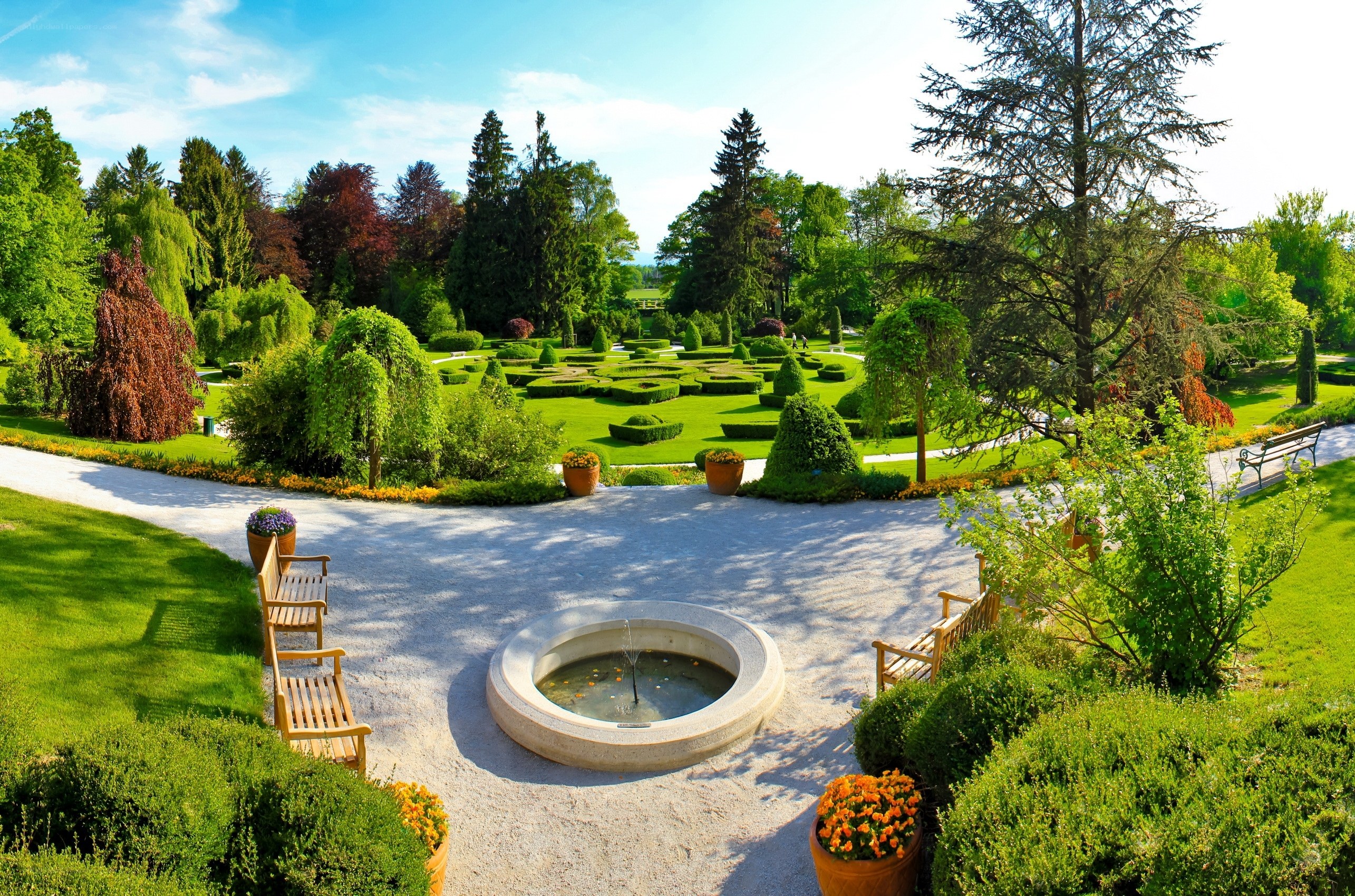 Garden with fountain and topiary