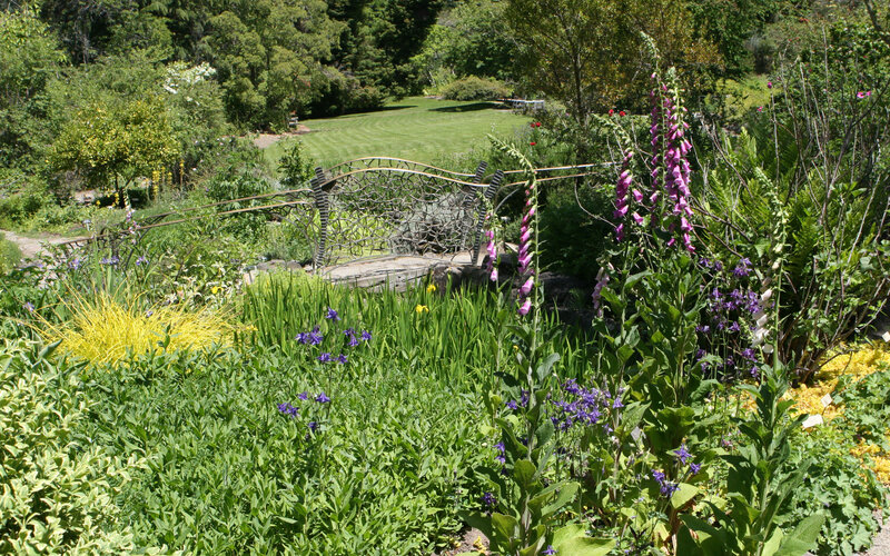 Garden with Foxgloves