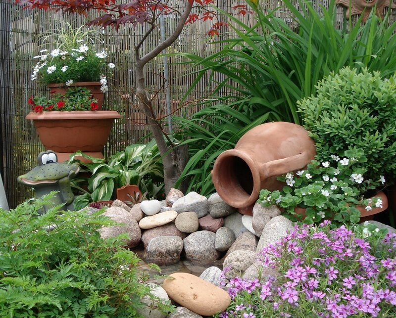 Garden with Frog Statue