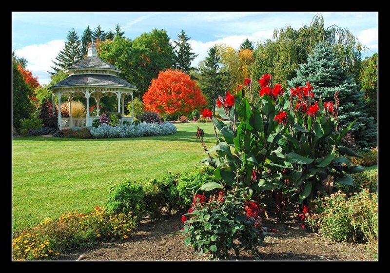 Garden with gazebo and autumn trees