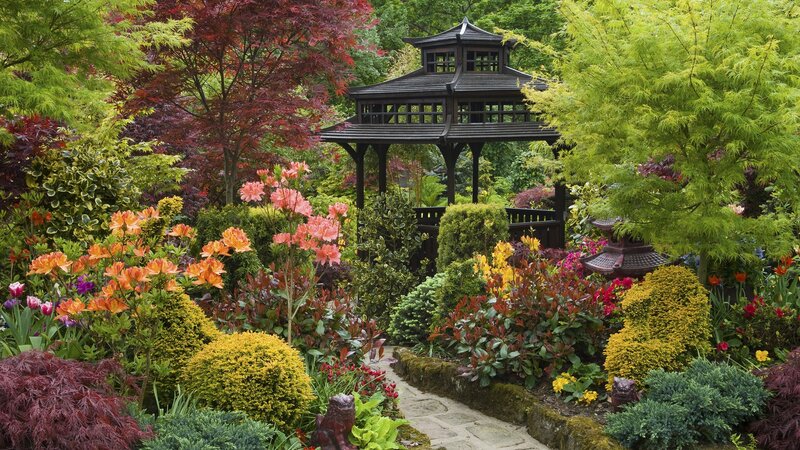 Garden with gazebo and colorful plants