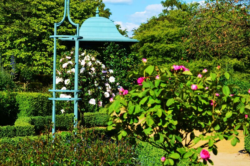 Garden with Gazebo — Green, Serene, Afternoon, Photograph, Flowers, Hedges