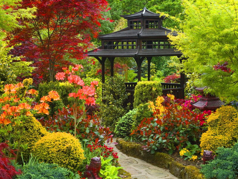 Garden with Gazebo — Green, Serene, Autumn