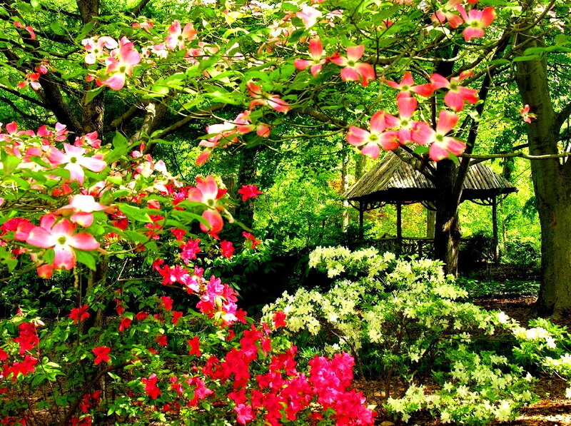 Garden with Gazebo — Green, Serene, Spring, Photograph
