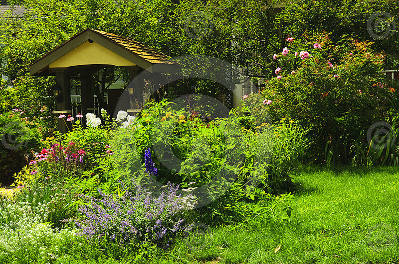 Garden with Gazebo — Green, Serene, Summer