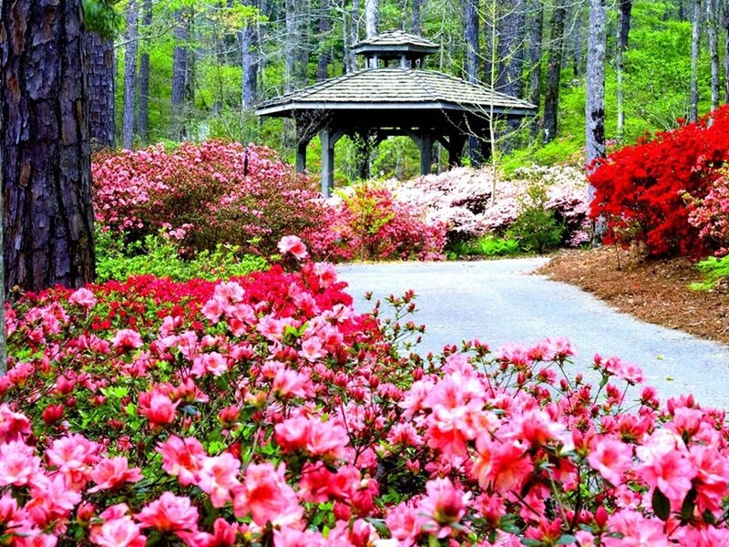 Garden with Gazebo — Pink, Serene
