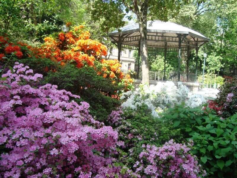 Garden with Gazebo — Pink