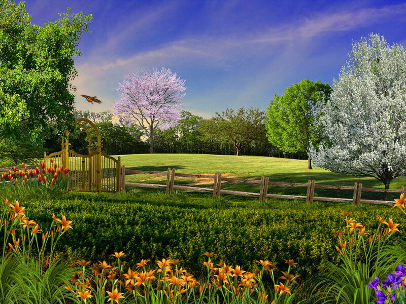 Garden with Golden Gate