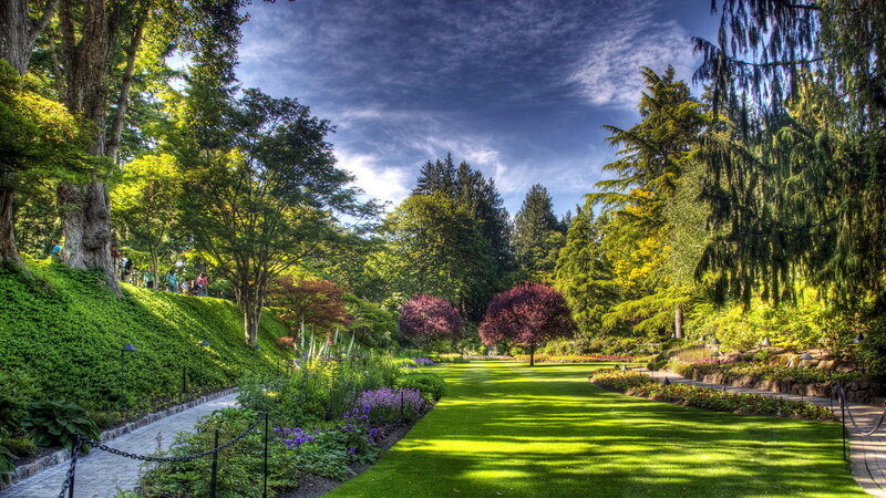 Garden with Green Lawn — Serene