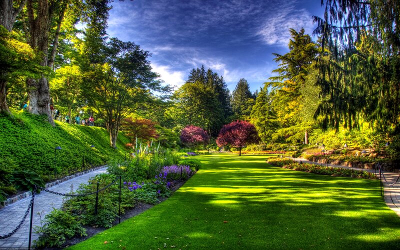 Garden with Green Lawn
