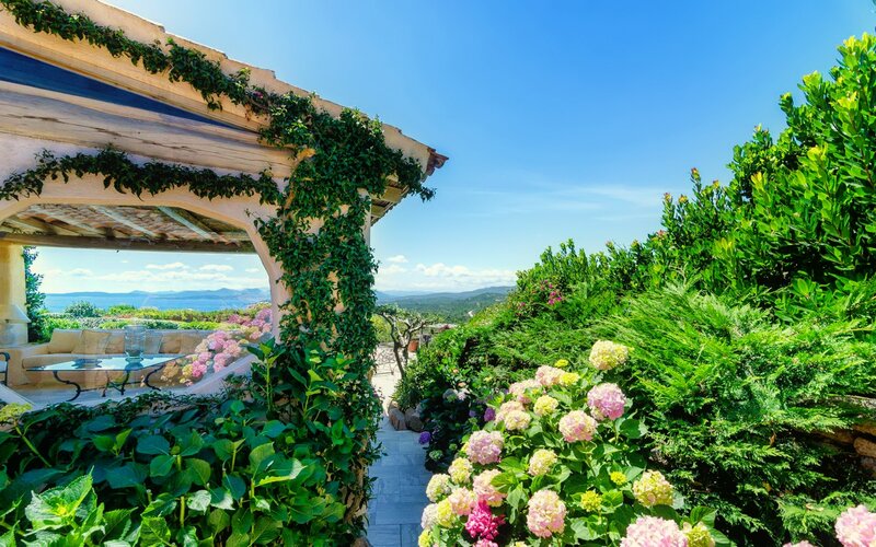 Garden with Hydrangeas — Blue