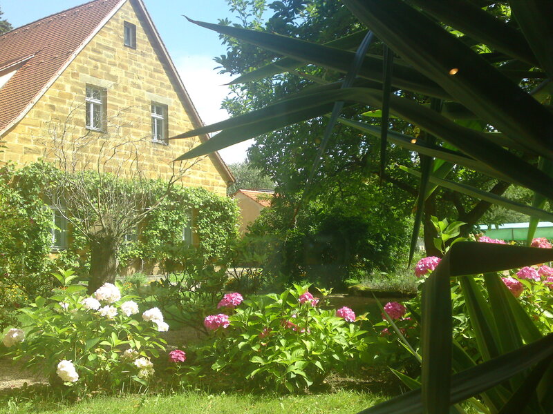 Garden with Hydrangeas