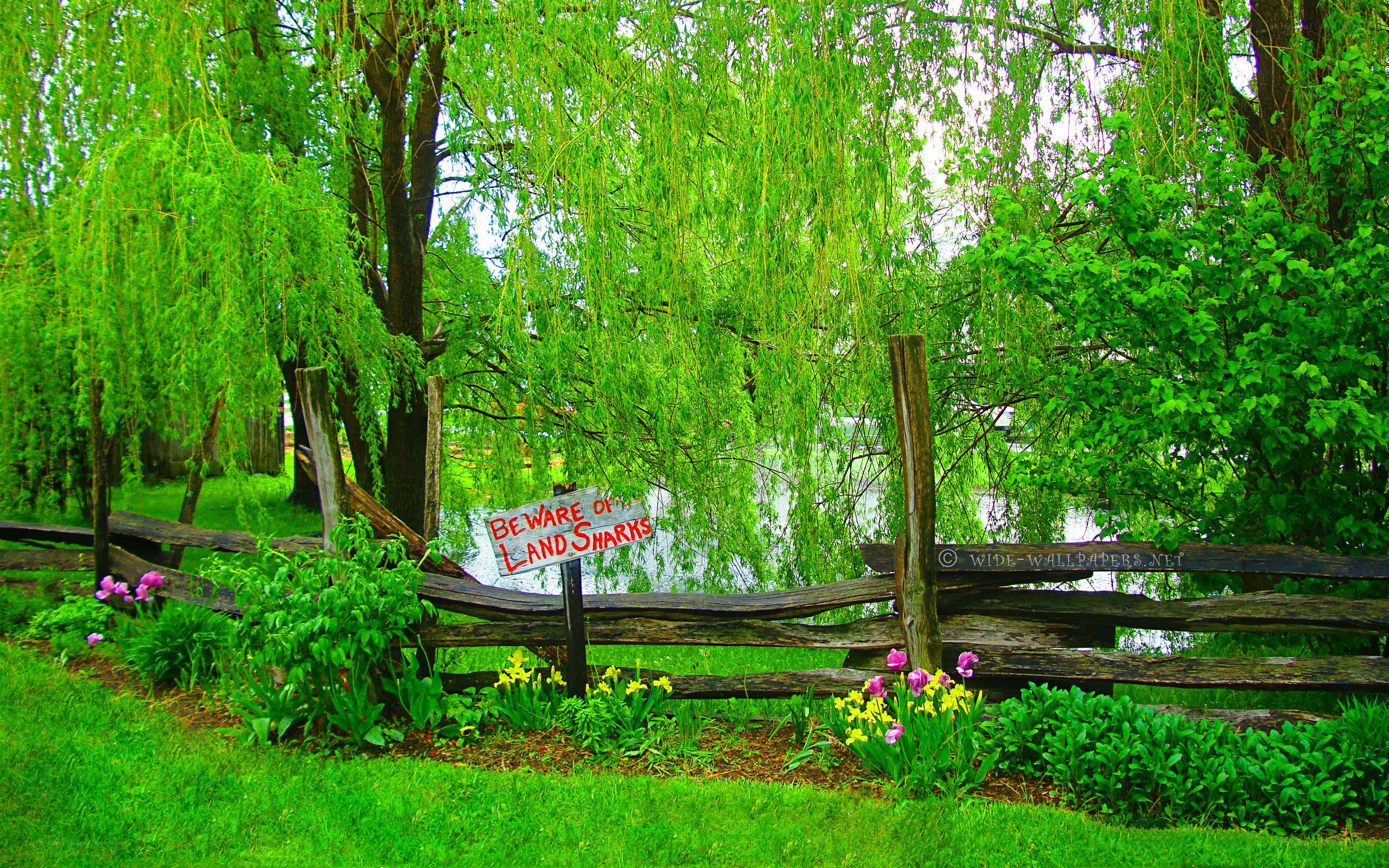 Garden with 'Land Sharks' sign