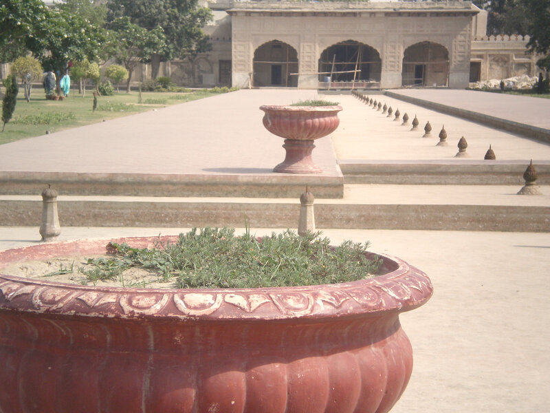 garden with large planters
