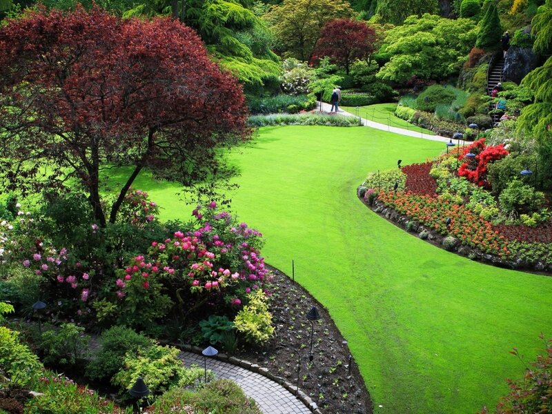 Garden with Lawn and Flowers — Green, Serene