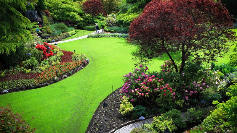 Garden with Lawn and Flowers — Green