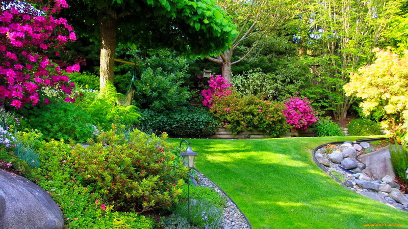 Garden with Lawn and Flowers