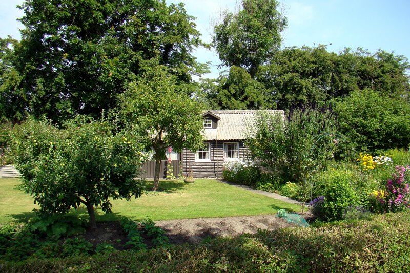 Garden with log cabin
