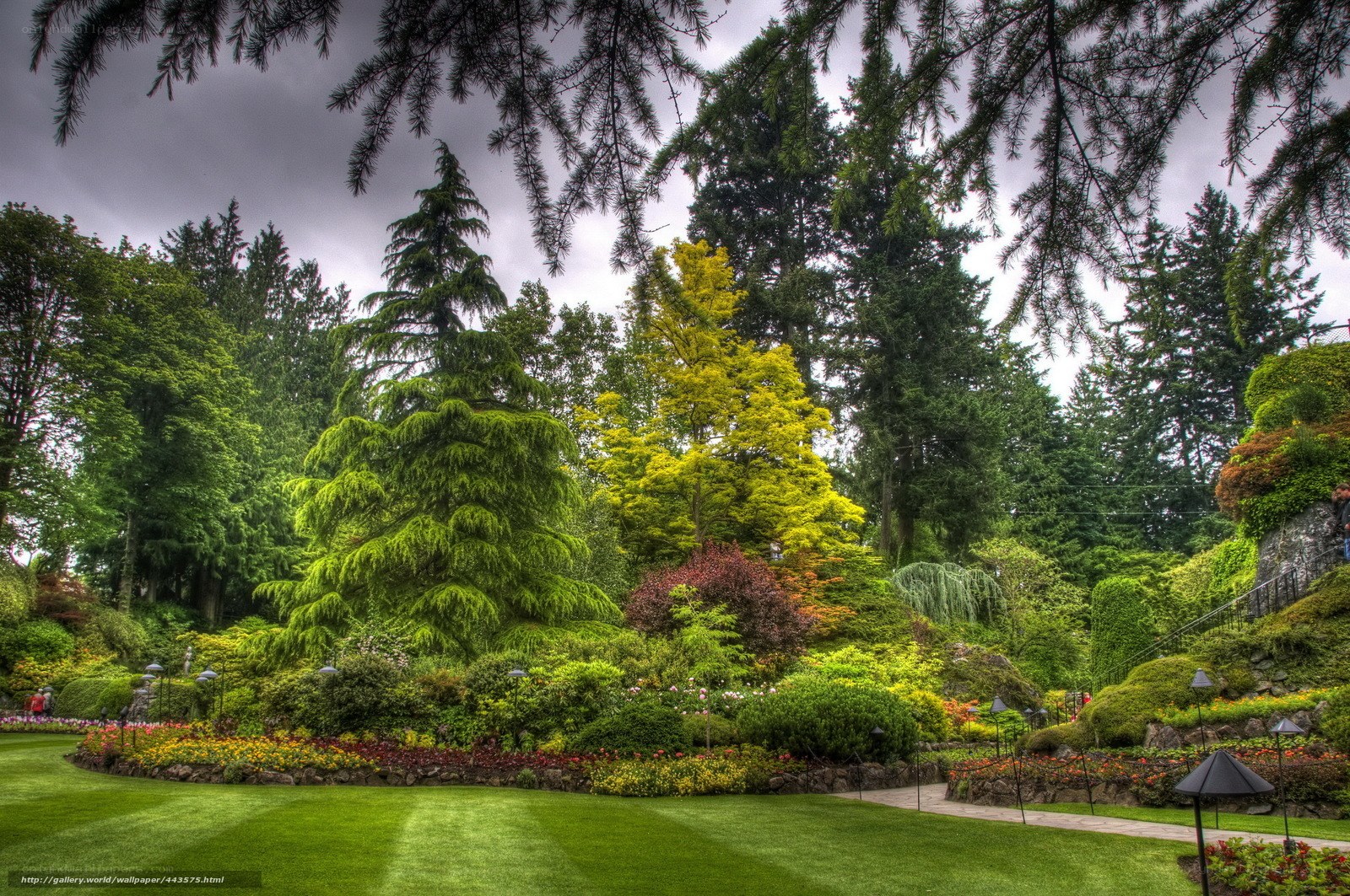 Garden with lush greenery