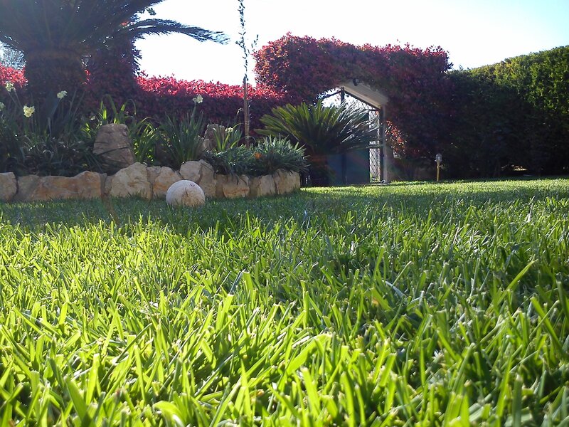 Garden with lush lawn and archway