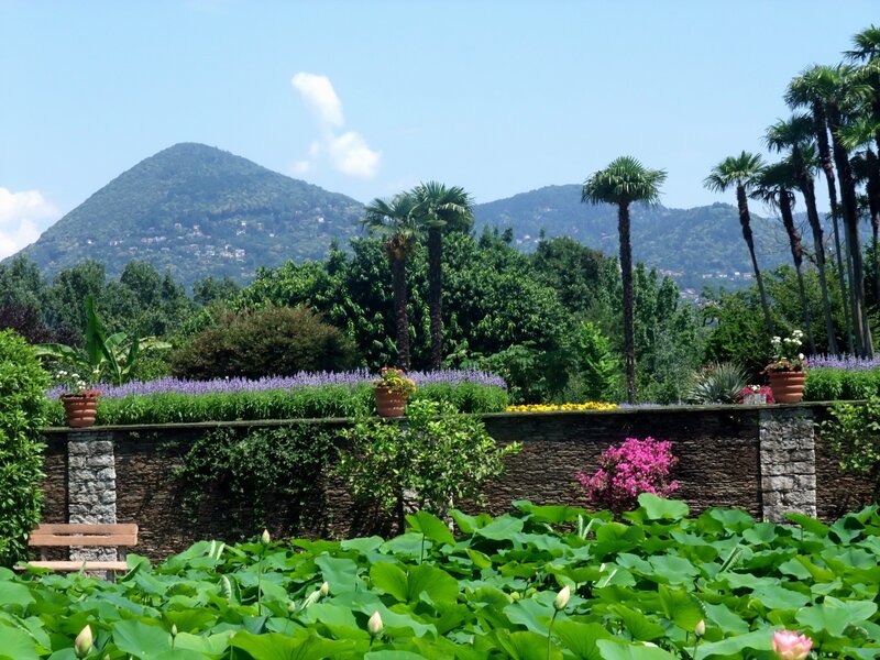 Garden with mountain view