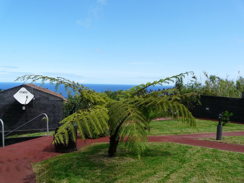 Garden with ocean view