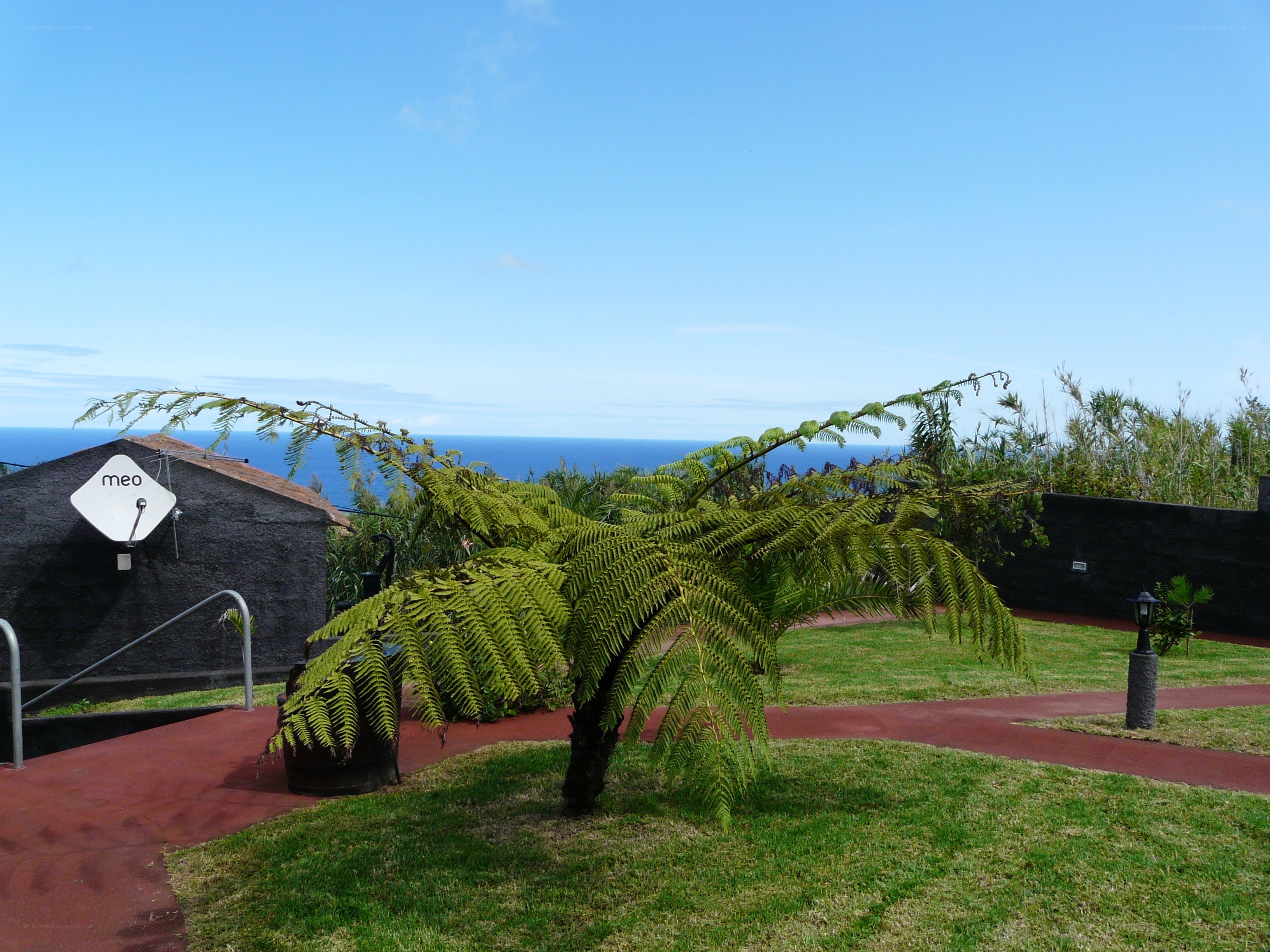 Garden with ocean view