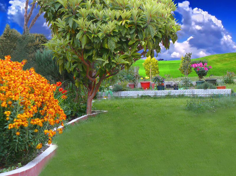 Garden with Orange Flowers — Green