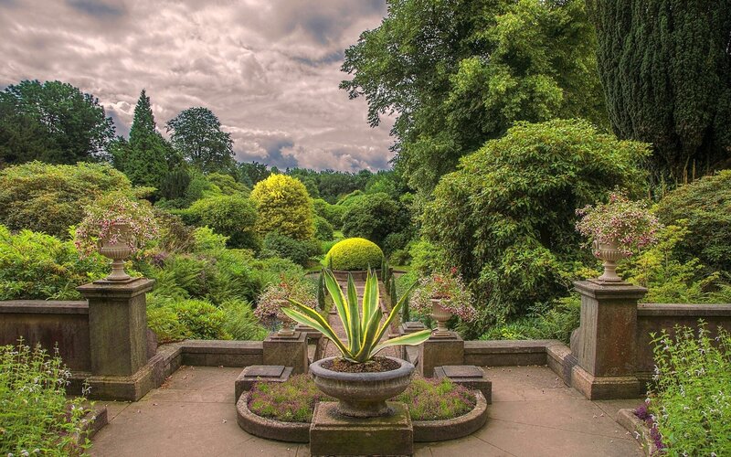 Garden with ornamental plants