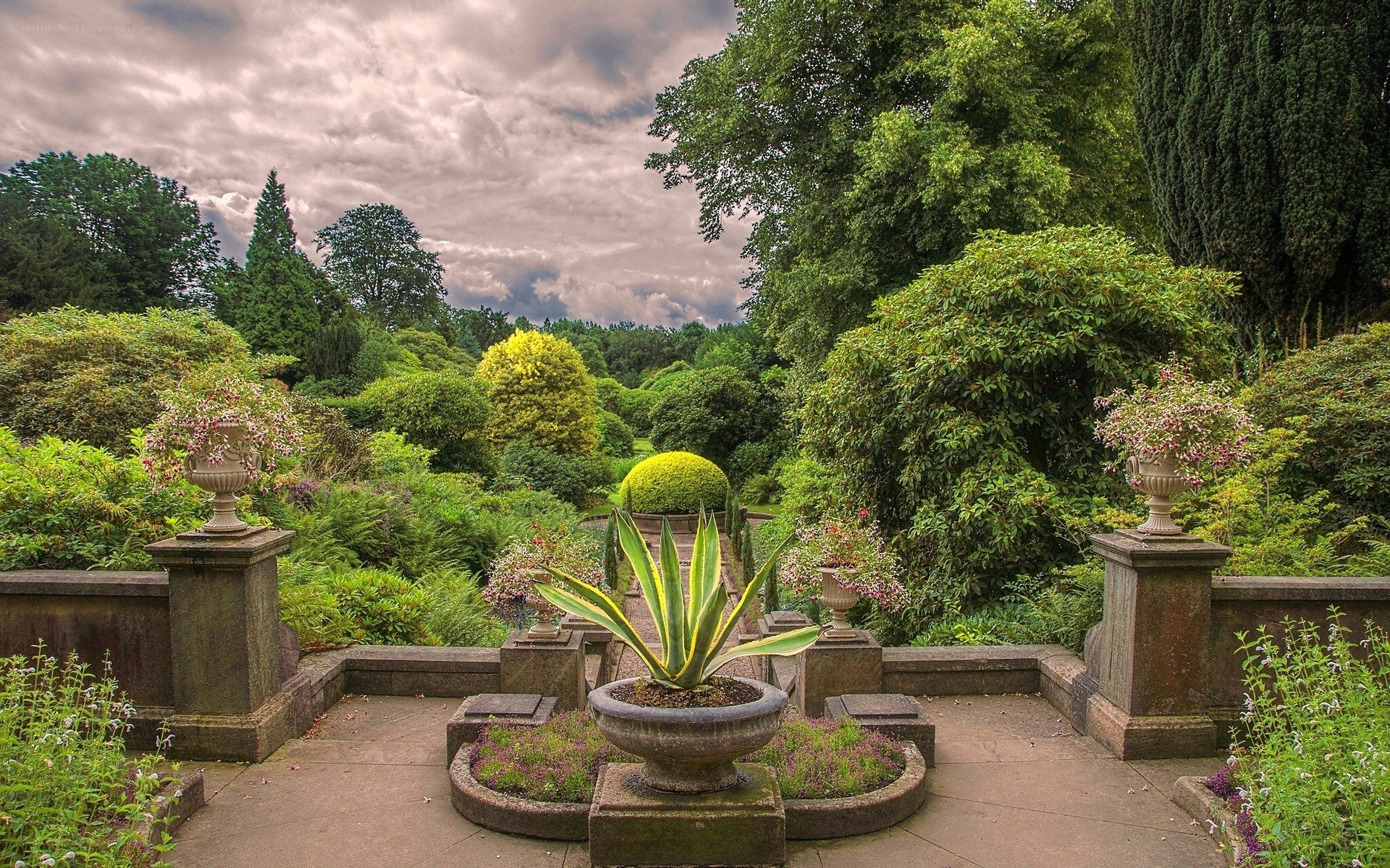 Garden with ornamental plants