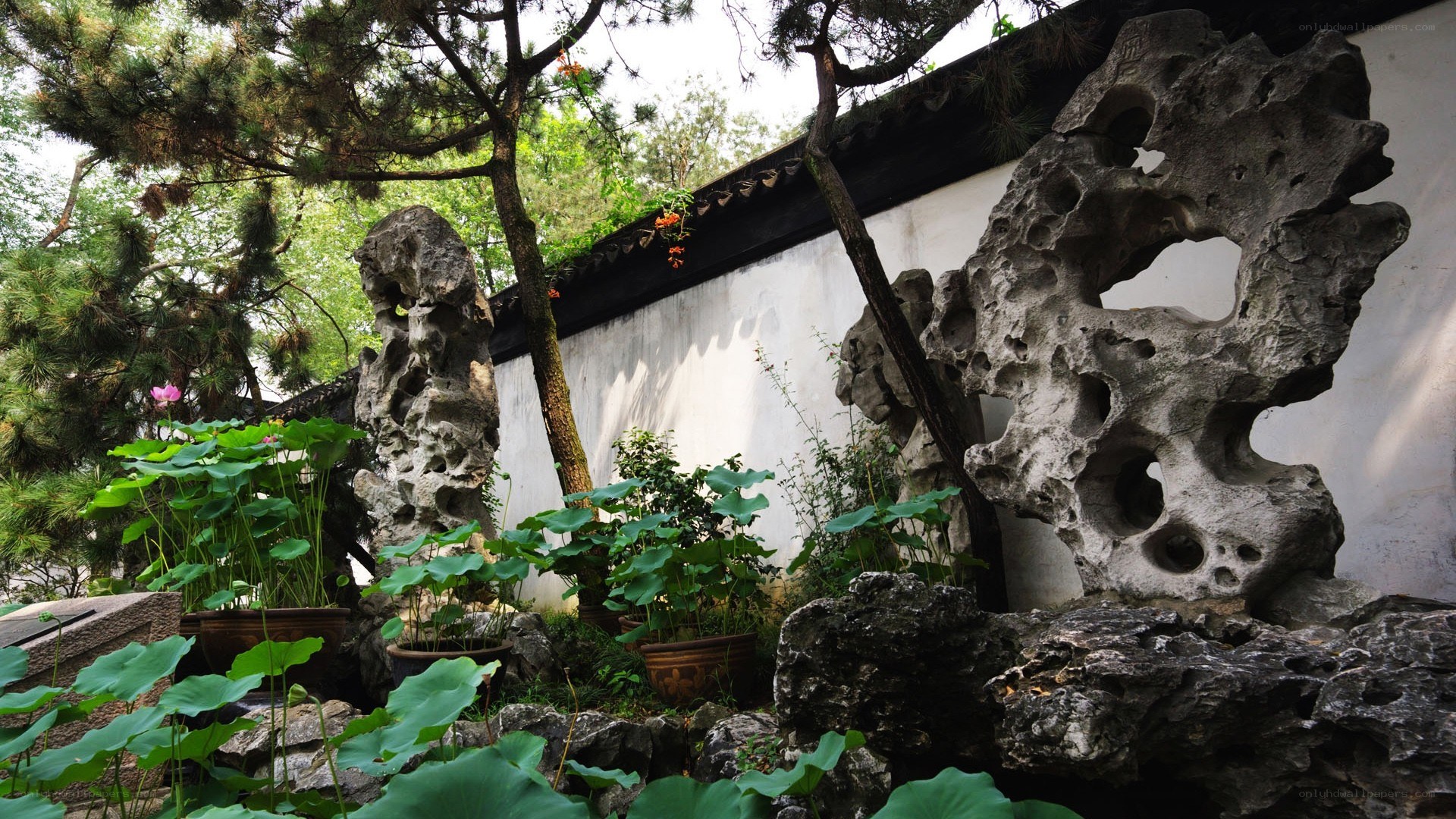 Garden with ornamental rocks