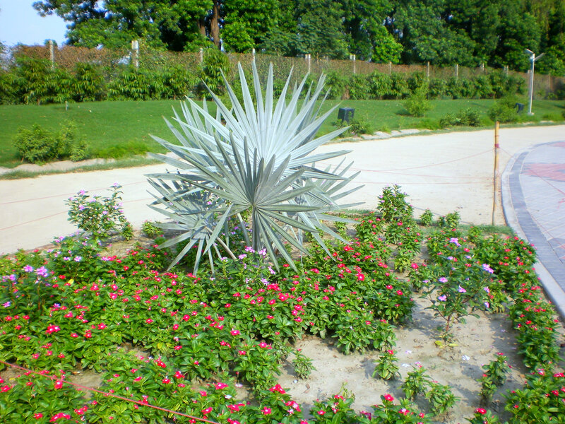 Garden with palm sculpture