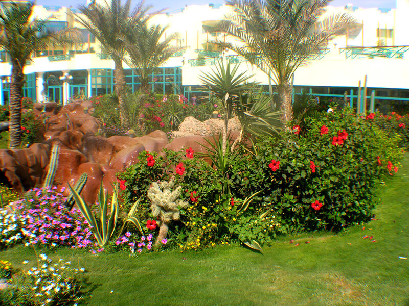 Garden with palm trees and flowers