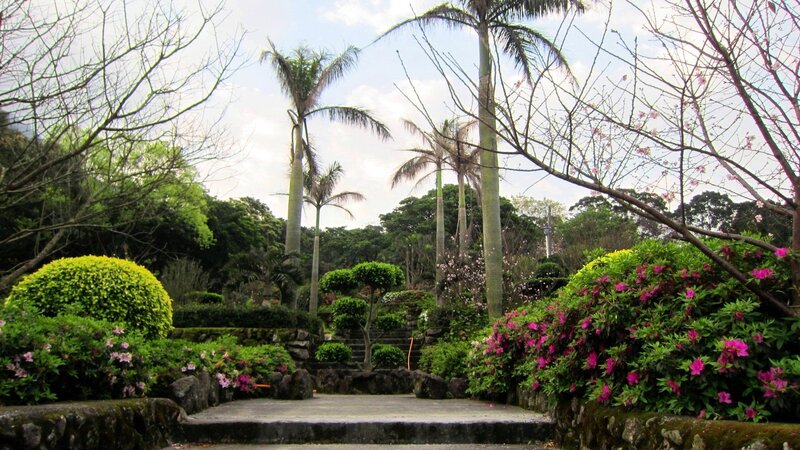 Garden with Palm Trees — Green