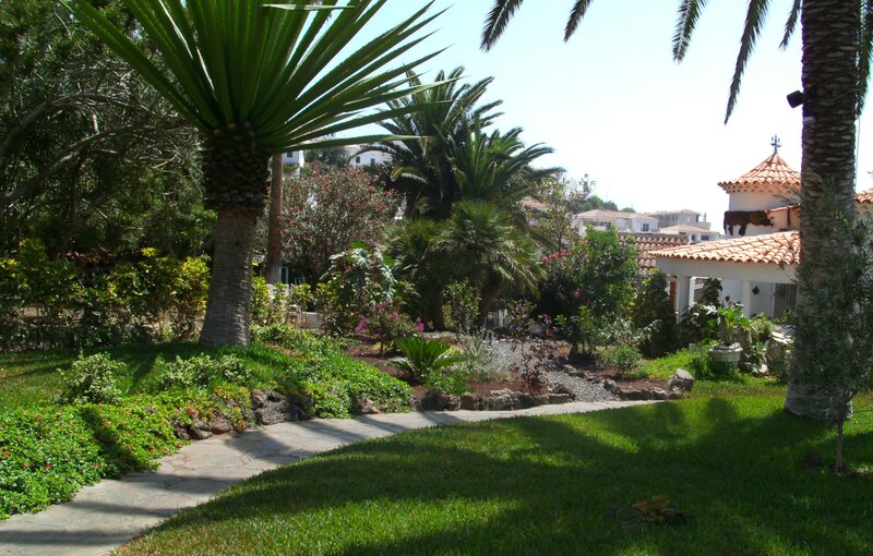 Garden with palm trees