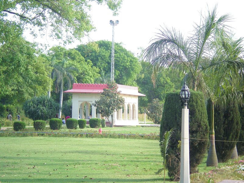 Garden with pavilion and palm trees