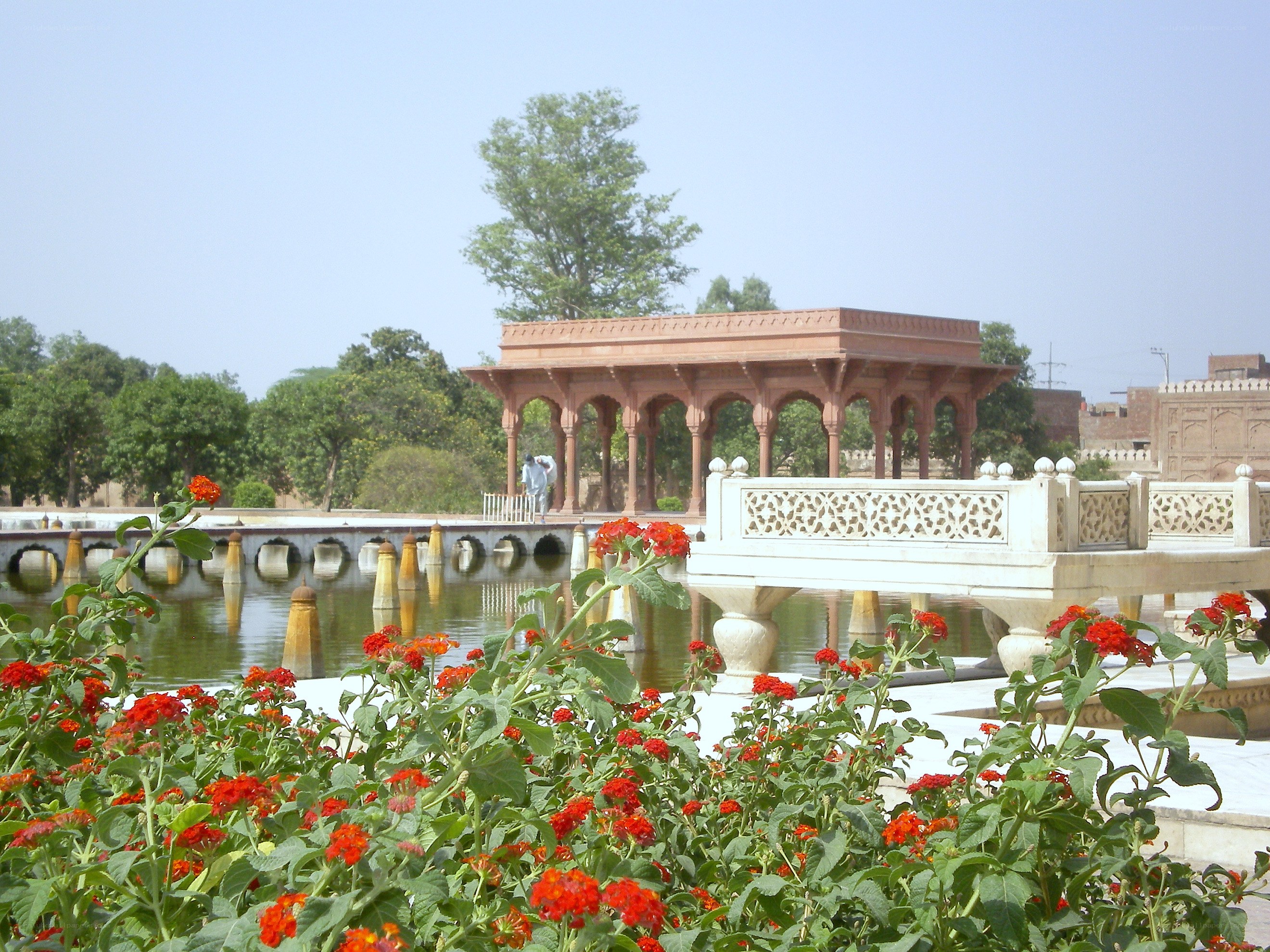 Garden with pavilion and pond
