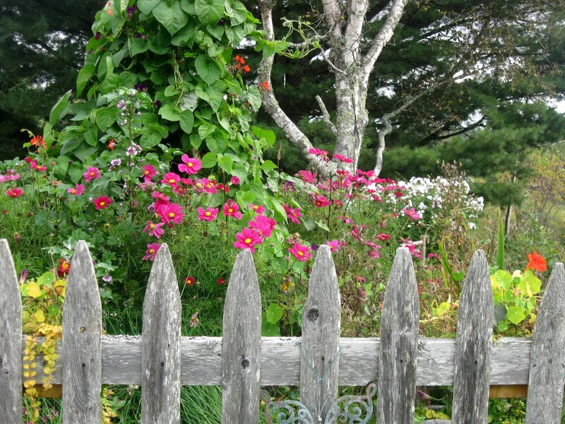 Garden with Picket Fence