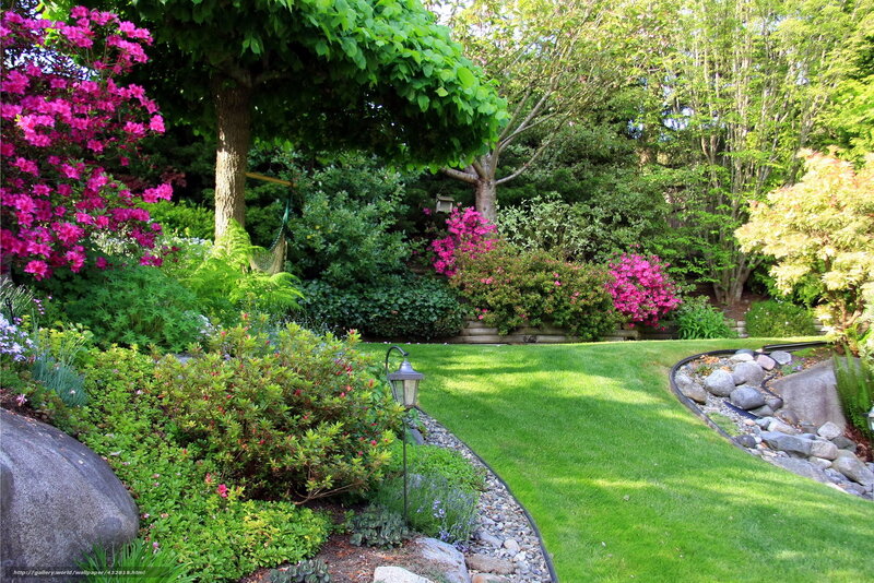 Garden with pink flowers and lawn