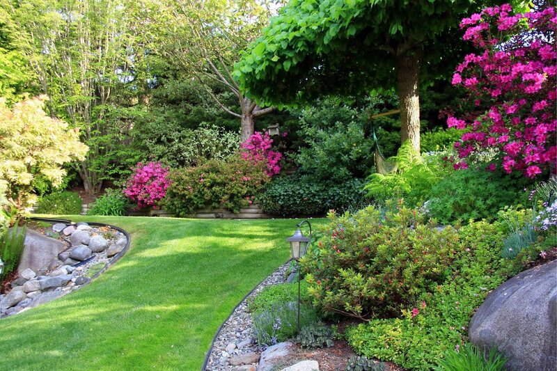 Garden with Pink Flowers — Green