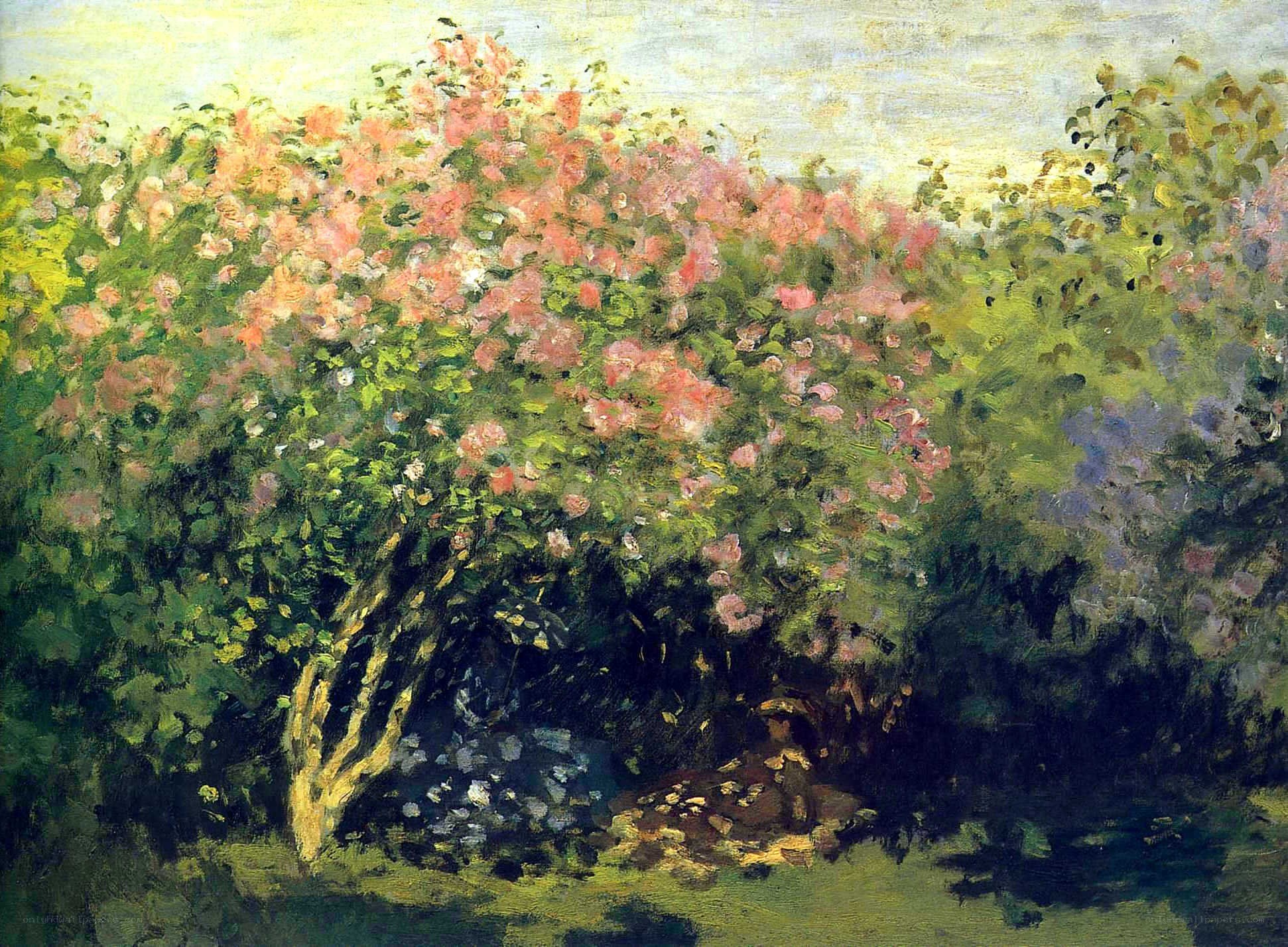 Garden with Pink Flowers