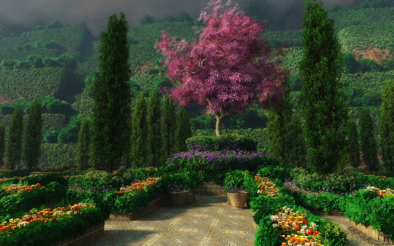 Garden with pink tree