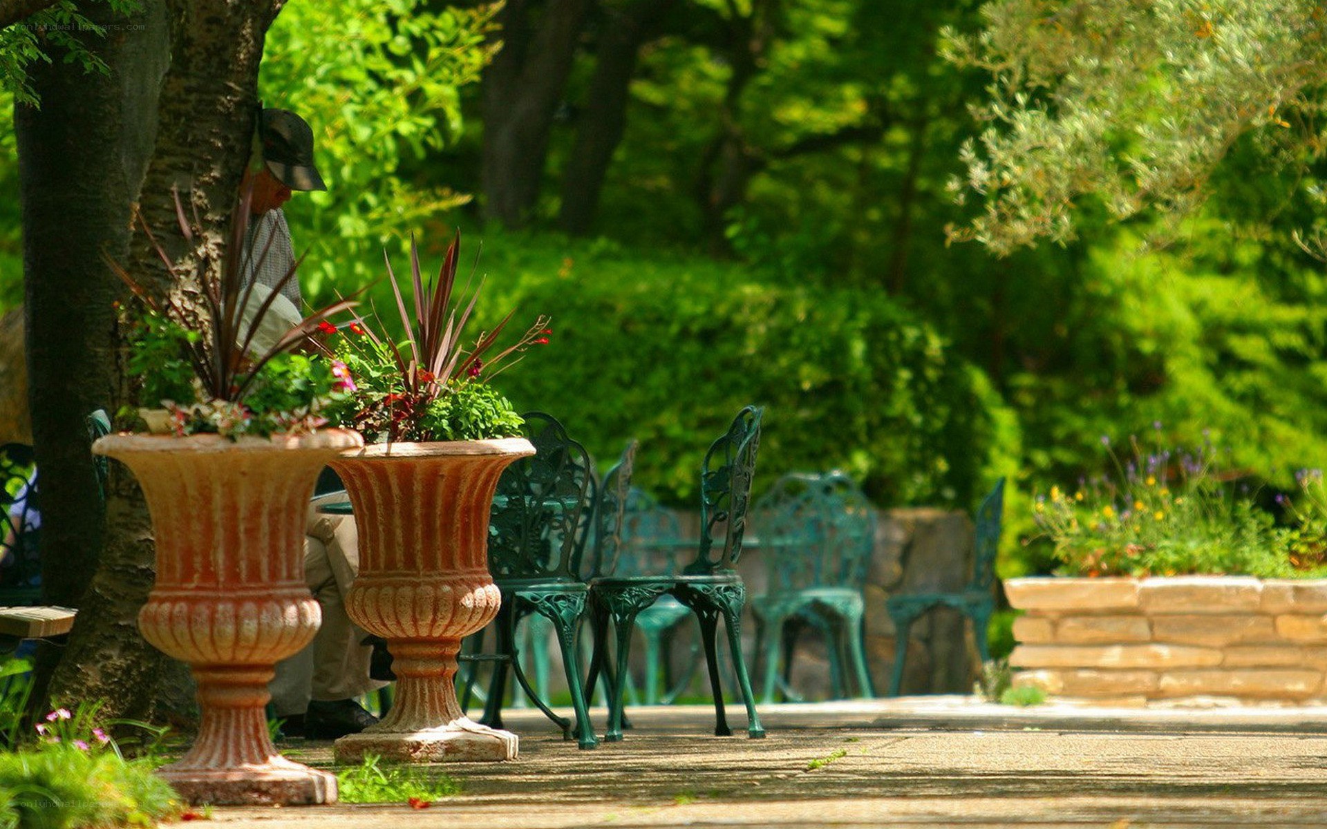 Garden with planters and chairs