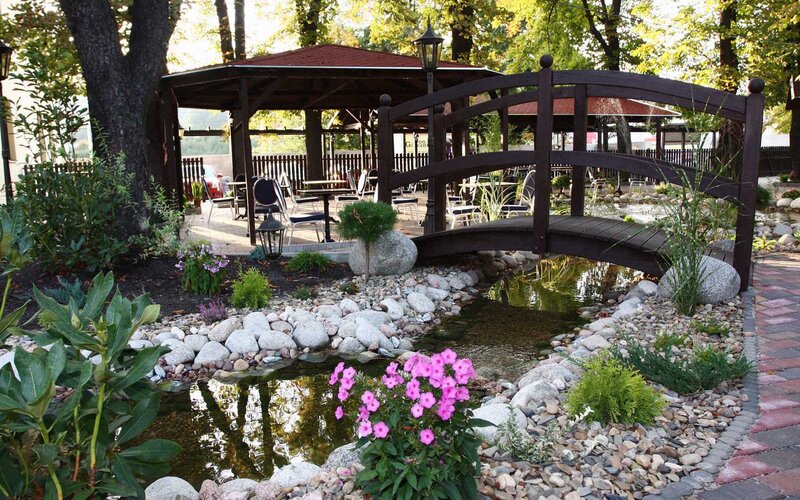 Garden with pond and bridge