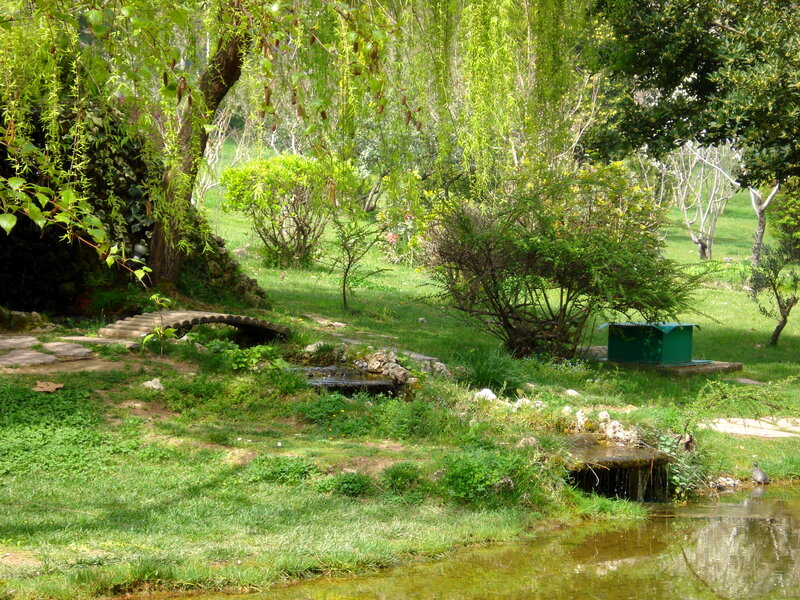 Garden with Pond and Bridge — Green, Serene, Afternoon, Photograph, Trees