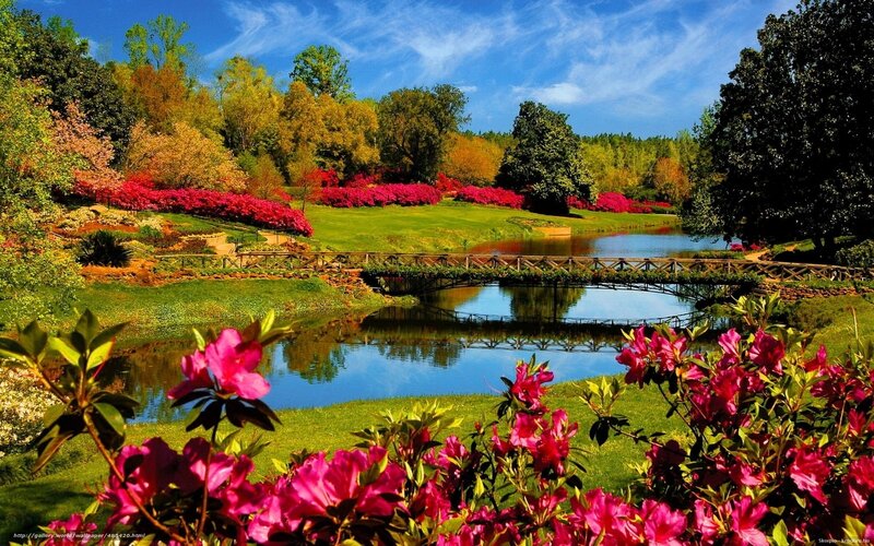 Garden with Pond and Bridge — Green, Serene, Spring, Photograph, Flowers