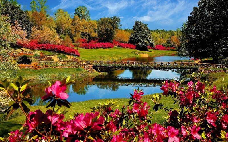 Garden with Pond and Bridge — Green, Serene, Spring, Photograph, Flowers, Trees, Blue, Pink